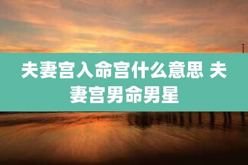 夫妻宫入命宫什么意思 夫妻宫男命男星