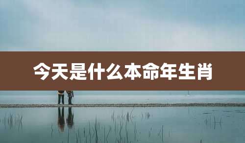 今天是什么本命年生肖