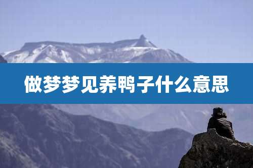做梦梦见养鸭子什么意思