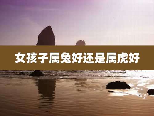 女孩子属兔好还是属虎好