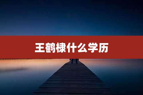 王鹤棣什么学历
