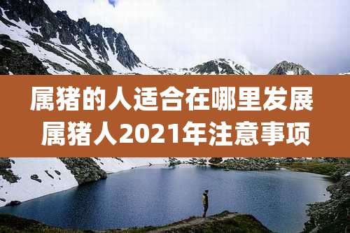 属猪的人适合在哪里发展 属猪人2021年注意事项