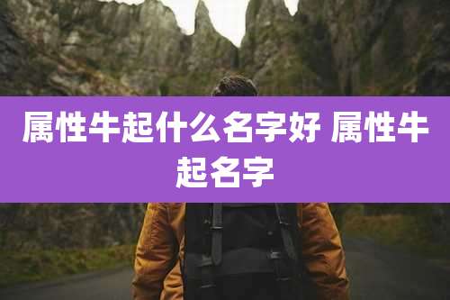 属性牛起什么名字好 属性牛起名字