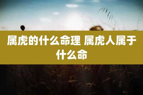 属虎的什么命理 属虎人属于什么命