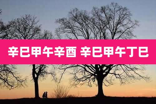 辛巳甲午辛酉 辛巳甲午丁巳