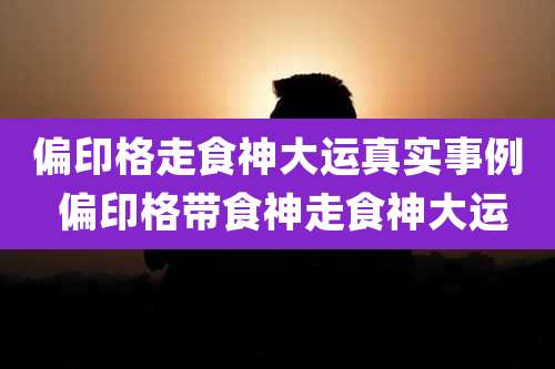 偏印格走食神大运真实事例 偏印格带食神走食神大运