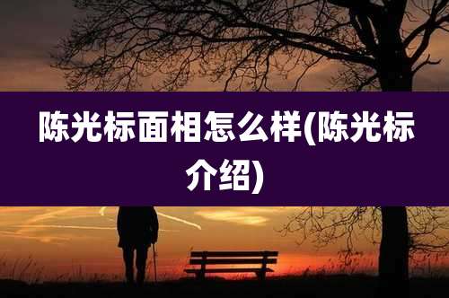 陈光标面相怎么样(陈光标介绍)