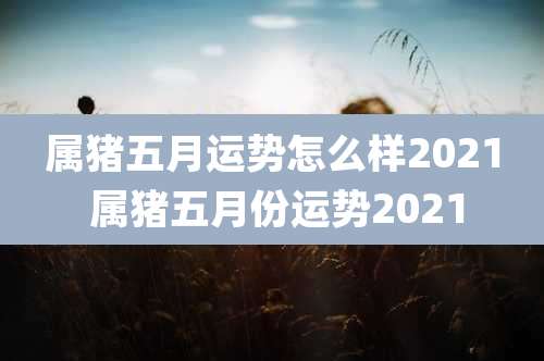 属猪五月运势怎么样2021 属猪五月份运势2021