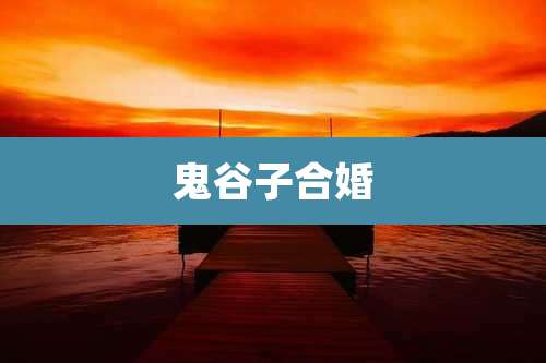 鬼谷子合婚