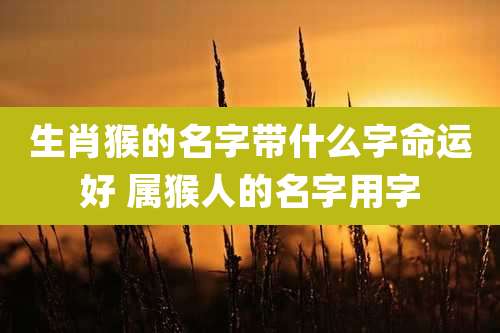 生肖猴的名字带什么字命运好 属猴人的名字用字