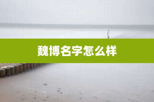 魏博名字怎么样