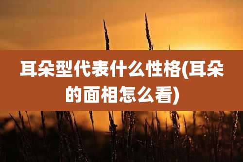 耳朵型代表什么性格(耳朵的面相怎么看)