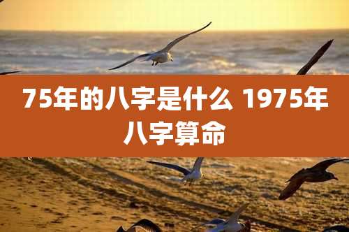 75年的八字是什么 1975年八字算命