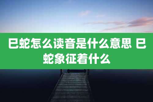 巳蛇怎么读音是什么意思 巳蛇象征着什么