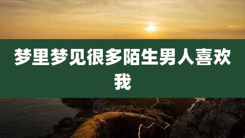 梦里梦见很多陌生男人喜欢我