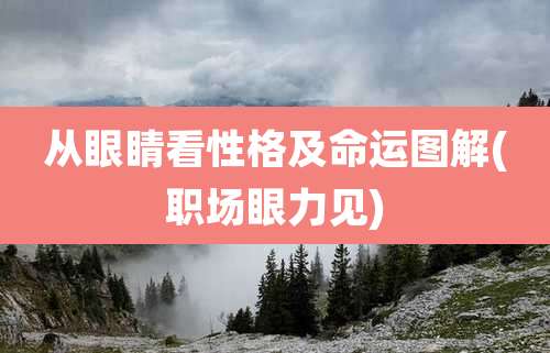 从眼睛看性格及命运图解(职场眼力见)