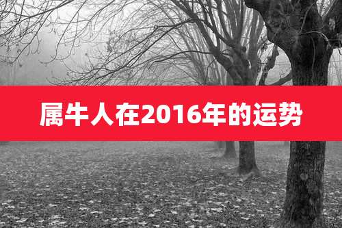 属牛人在2016年的运势