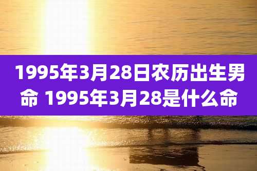 1995年3月28日农历出生男命 1995年3月28是什么命