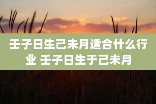 壬子日生己未月适合什么行业 壬子日生于己未月