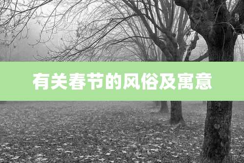 有关春节的风俗及寓意
