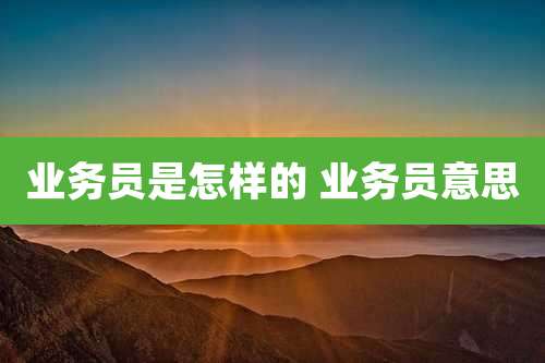 业务员是怎样的 业务员意思