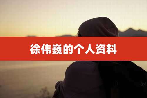 徐伟巍的个人资料