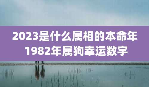 2023是什么属相的本命年 1982年属狗幸运数字