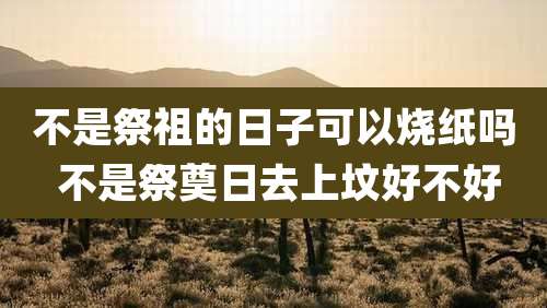 不是祭祖的日子可以烧纸吗 不是祭奠日去上坟好不好