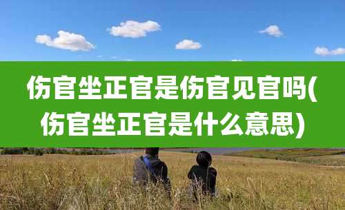 伤官坐正官是伤官见官吗(伤官坐正官是什么意思)