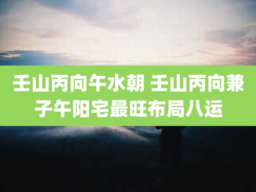 壬山丙向午水朝 壬山丙向兼子午阳宅最旺布局八运