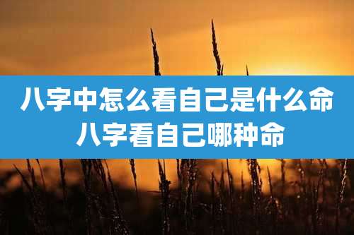八字中怎么看自己是什么命 八字看自己哪种命