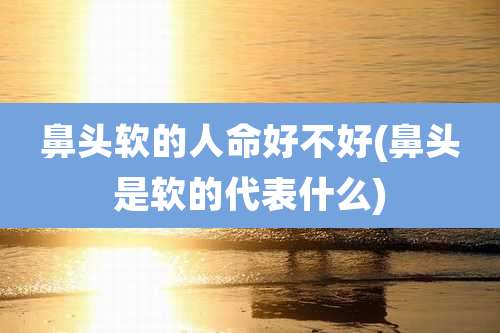 鼻头软的人命好不好(鼻头是软的代表什么)