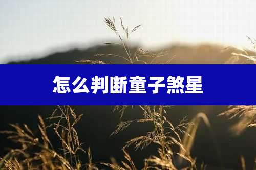 怎么判断童子煞星