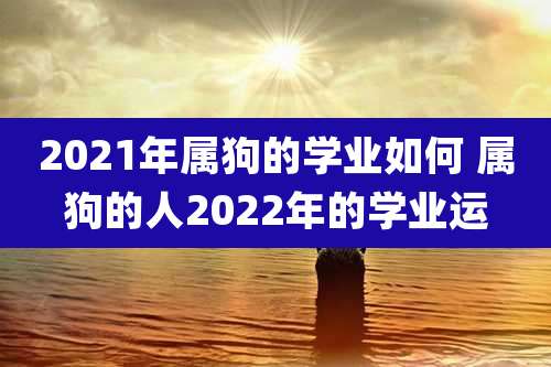 2021年属狗的学业如何 属狗的人2022年的学业运