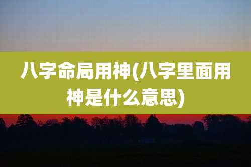 八字命局用神(八字里面用神是什么意思)