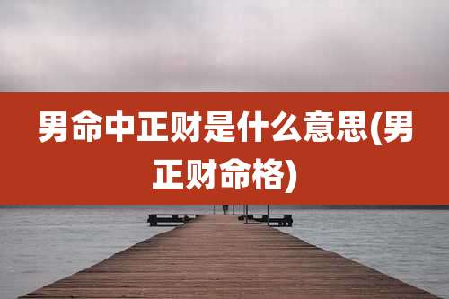 男命中正财是什么意思(男正财命格)