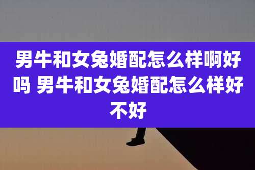 男牛和女兔婚配怎么样啊好吗 男牛和女兔婚配怎么样好不好