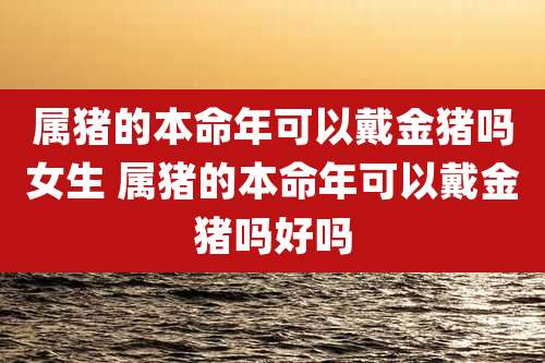属猪的本命年可以戴金猪吗女生 属猪的本命年可以戴金猪吗好吗
