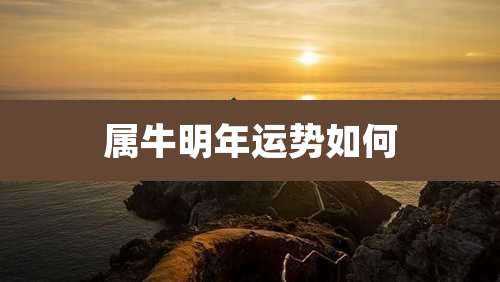 属牛明年运势如何