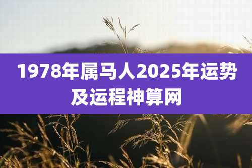 1978年属马人2025年运势及运程神算网