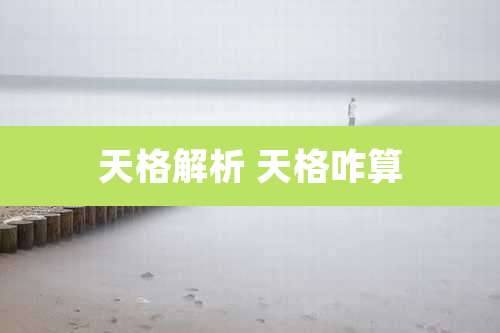 天格解析 天格咋算