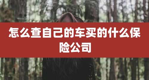 怎么查自己的车买的什么保险公司