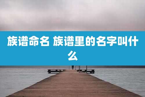 族谱命名 族谱里的名字叫什么