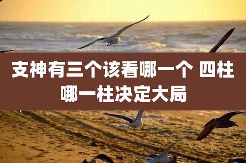 支神有三个该看哪一个 四柱哪一柱决定大局