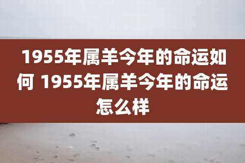 1955年属羊今年的命运如何 1955年属羊今年的命运怎么样