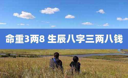 命重3两8 生辰八字三两八钱
