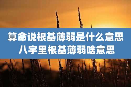 算命说根基薄弱是什么意思 八字里根基薄弱啥意思