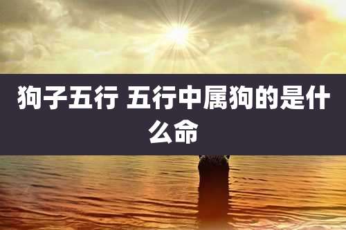 狗子五行 五行中属狗的是什么命