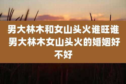 男大林木和女山头火谁旺谁 男大林木女山头火的婚姻好不好