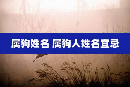 属狗姓名 属狗人姓名宜忌